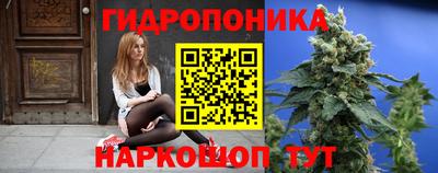 прущая мука Будённовск